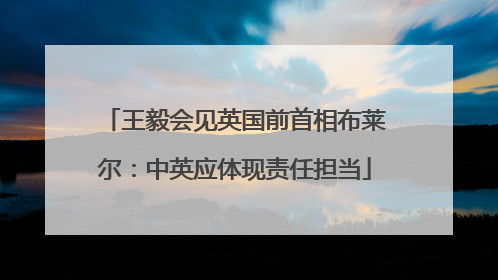 王毅会见英国前首相布莱尔：中英应体现责任担当