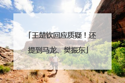 王楚钦回应质疑！还提到马龙、樊振东