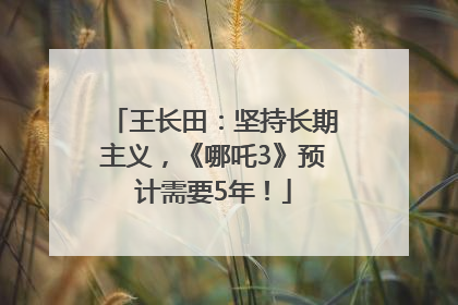 王长田：坚持长期主义，《哪吒3》预计需要5年！