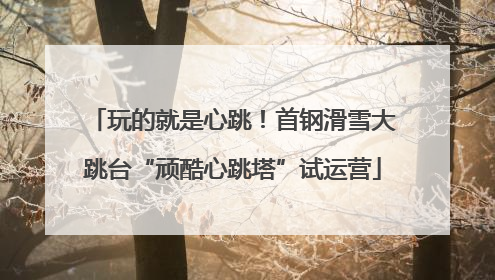 玩的就是心跳！首钢滑雪大跳台“顽酷心跳塔”试运营