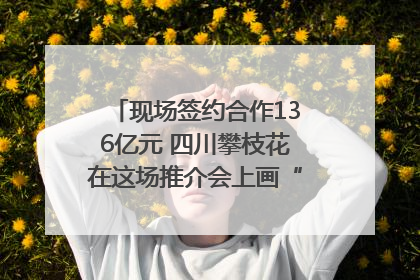 现场签约合作136亿元 四川攀枝花在这场推介会上画“图谱”列“清单”