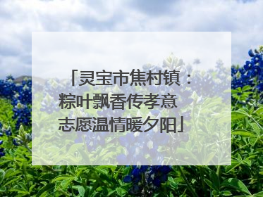 灵宝市焦村镇：粽叶飘香传孝意 志愿温情暖夕阳