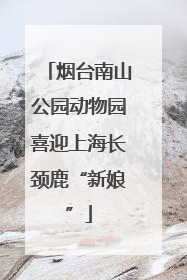 烟台南山公园动物园喜迎上海长颈鹿“新娘”