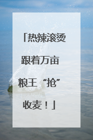 热辣滚烫 跟着万亩粮王“抢”收麦！