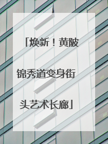 焕新！黄陂锦秀道变身街头艺术长廊