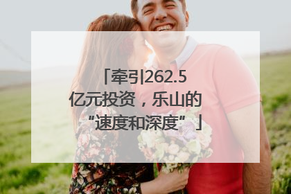 牵引262.5亿元投资，乐山的“速度和深度”