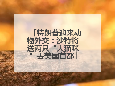 特朗普迎来动物外交：沙特将送两只“大猫咪”去美国首都