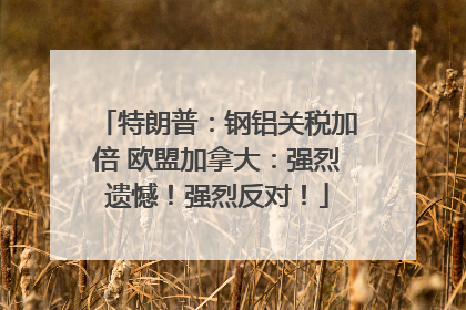 特朗普：钢铝关税加倍 欧盟加拿大：强烈遗憾！强烈反对！