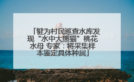 犍为村民巡查水库发现“水中大熊猫”桃花水母 专家：将采集样本鉴定具体种属