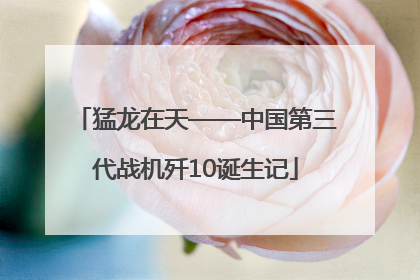 猛龙在天——中国第三代战机歼10诞生记