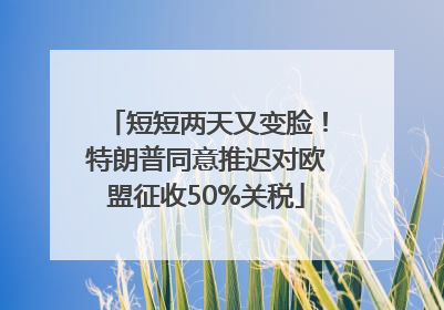 短短两天又变脸！特朗普同意推迟对欧盟征收50%关税