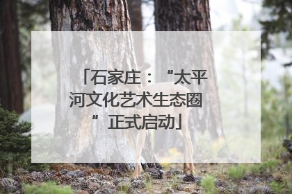 石家庄：“太平河文化艺术生态圈”正式启动