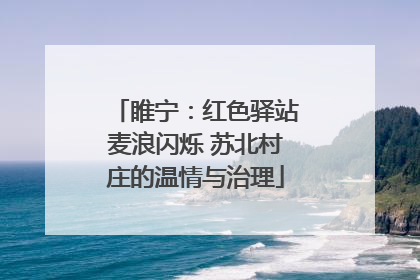 睢宁：红色驿站麦浪闪烁 苏北村庄的温情与治理