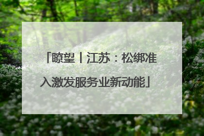 瞭望丨江苏：松绑准入激发服务业新动能