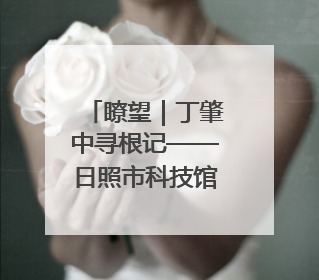 瞭望｜丁肇中寻根记——日照市科技馆建成前后