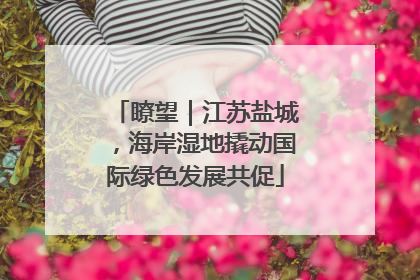 瞭望｜江苏盐城，海岸湿地撬动国际绿色发展共促