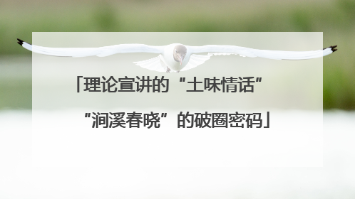 理论宣讲的“土味情话” “涧溪春晓”的破圈密码