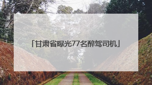 甘肃省曝光77名醉驾司机