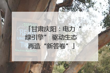 甘肃庆阳：电力“绿引擎” 驱动生态再造“新答卷”