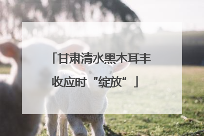 甘肃清水黑木耳丰收应时“绽放”