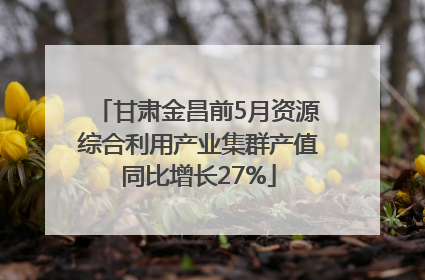 甘肃金昌前5月资源综合利用产业集群产值同比增长27%