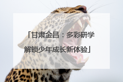 甘肃金昌：多彩研学解锁少年成长新体验