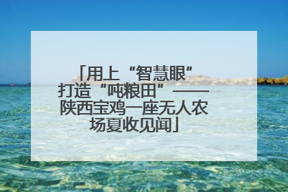 用上“智慧眼” 打造“吨粮田”——陕西宝鸡一座无人农场夏收见闻