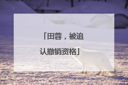 田蓉，被追认撤销资格