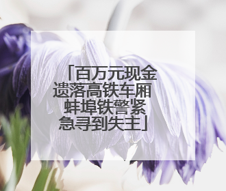 百万元现金遗落高铁车厢 蚌埠铁警紧急寻到失主