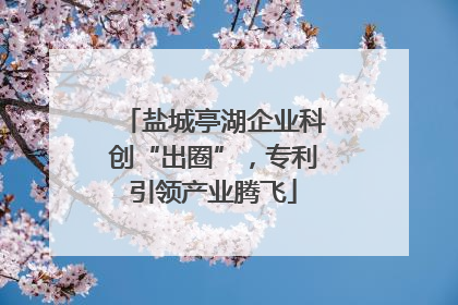 盐城亭湖企业科创“出圈”，专利引领产业腾飞