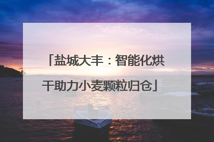 盐城大丰：智能化烘干助力小麦颗粒归仓
