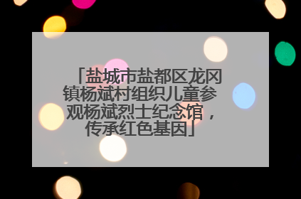 盐城市盐都区龙冈镇杨斌村组织儿童参观杨斌烈士纪念馆，传承红色基因