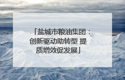 盐城市粮油集团：创新驱动助转型 提质增效促发展