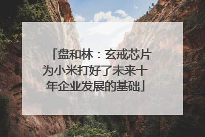 盘和林：玄戒芯片为小米打好了未来十年企业发展的基础
