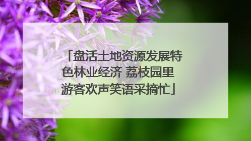 盘活土地资源发展特色林业经济 荔枝园里游客欢声笑语采摘忙