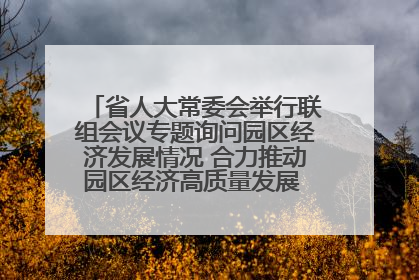 省人大常委会举行联组会议专题询问园区经济发展情况 合力推动园区经济高质量发展 王宁主持会议并讲话 王予波带队到会应询