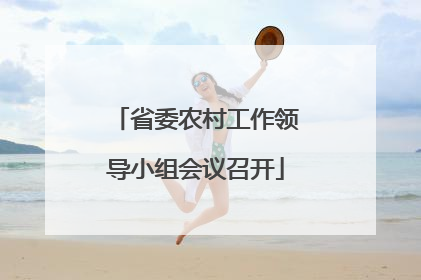省委农村工作领导小组会议召开