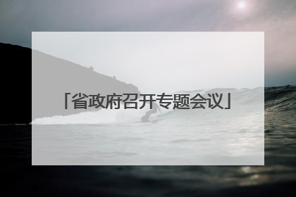 省政府召开专题会议