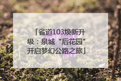 省道103焕新升级：泉城“后花园”开启梦幻公路之旅