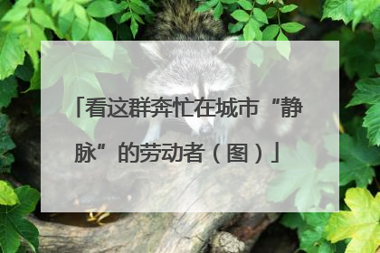 看这群奔忙在城市“静脉”的劳动者（图）