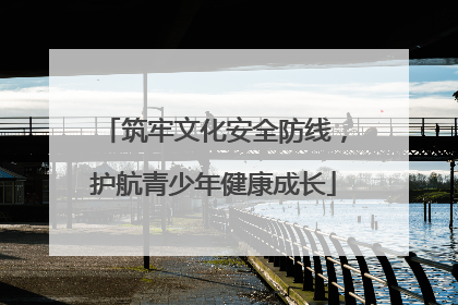 筑牢文化安全防线，护航青少年健康成长
