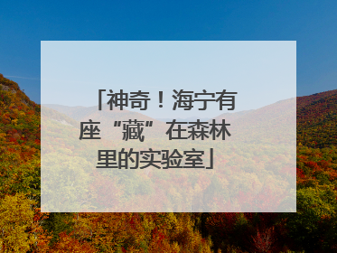 神奇！海宁有座“藏”在森林里的实验室