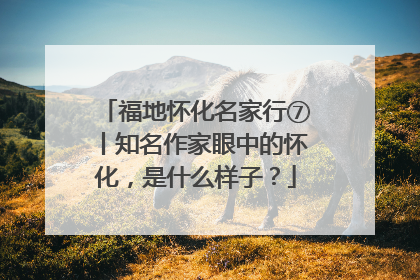 福地怀化名家行⑦丨知名作家眼中的怀化，是什么样子？