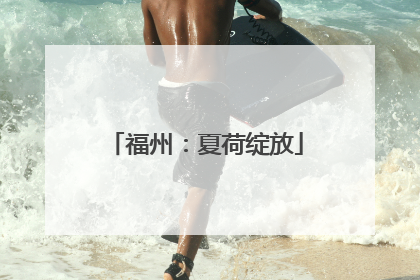 福州：夏荷绽放