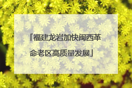 福建龙岩加快闽西革命老区高质量发展