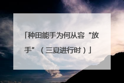 种田能手为何从容“放手”（三夏进行时）