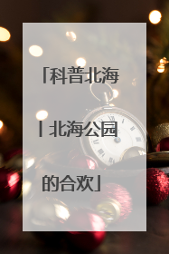 科普北海丨北海公园的合欢