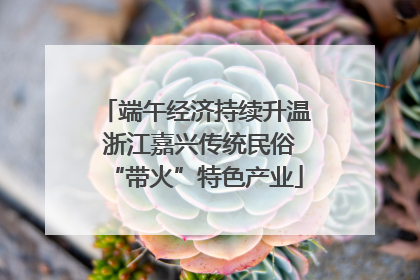 端午经济持续升温 浙江嘉兴传统民俗“带火”特色产业