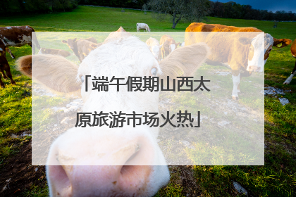 端午假期山西太原旅游市场火热