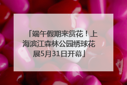 端午假期来赏花！上海滨江森林公园绣球花展5月31日开幕